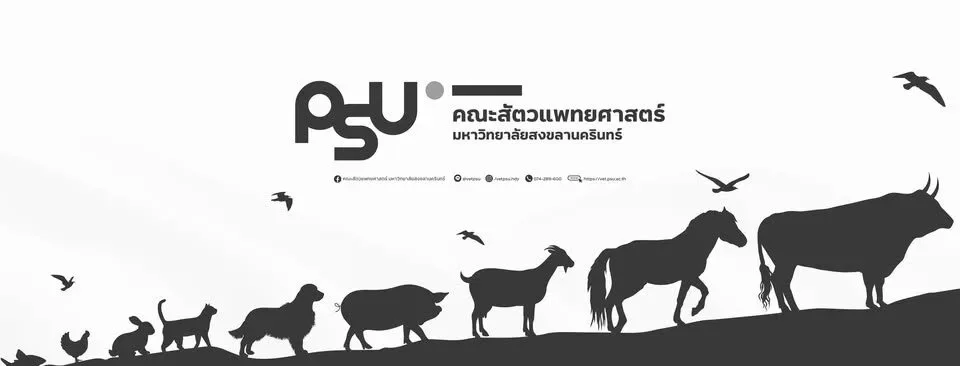 "คณะสัตวแพทย์ มอ." เปิดรับบริจาคสิ่งของสัตว์เลี้ยง ช่วยเพื่อนสี่ขาที่ได้รับผลกระทบจากเหตุการณ์น้ำท่วมภาคใต้