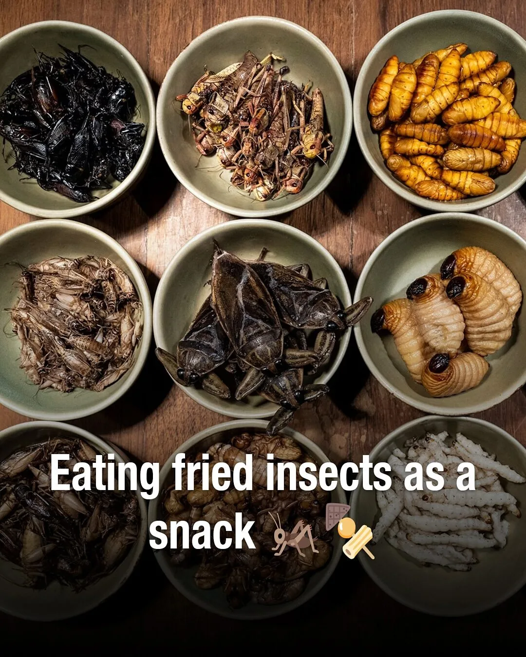 เผย 12 สิ่งธรรมดาของคนไทย...ที่ชาวต่างชาติมองว่า "แปลก" โดย "worldpitou"