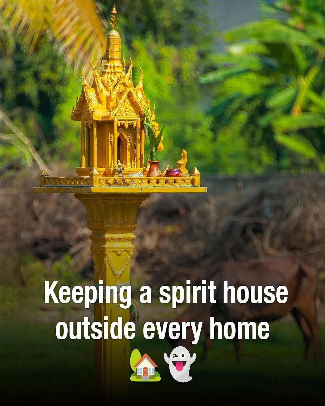 เผย 12 สิ่งธรรมดาของคนไทย...ที่ชาวต่างชาติมองว่า "แปลก" โดย "worldpitou"