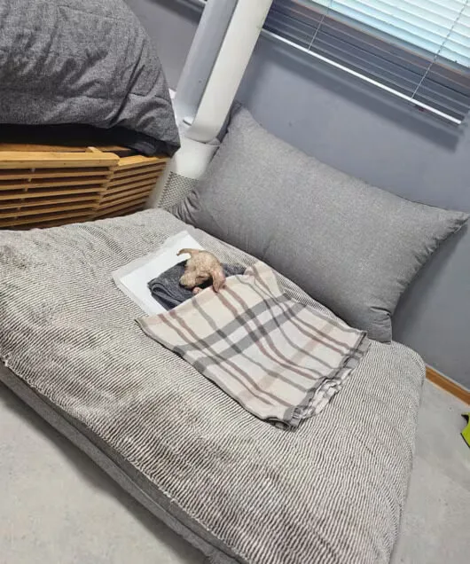 "คิมซอฮยอง (Kim Seo-hyung)" ดาราเกาหลีชื่อดัง รับสุนัขชรามาอยู่ด้วย หวังให้เป็นบ้านหลังสุดท้าย