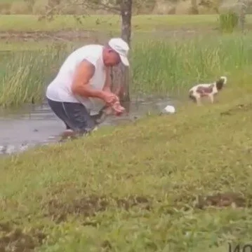 คุณปู่วัย 74 ปี สู้กับจระเข้ เพื่อช่วยชีวิตน้องหมาตัวน้อย ก่อนเอาออกจากปากนักล่าได้อย่างปลอดภัย