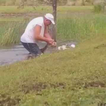 คุณปู่วัย 74 ปี สู้กับจระเข้ เพื่อช่วยชีวิตน้องหมาตัวน้อย ก่อนเอาออกจากปากนักล่าได้อย่างปลอดภัย