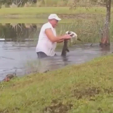 คุณปู่วัย 74 ปี สู้กับจระเข้ เพื่อช่วยชีวิตน้องหมาตัวน้อย ก่อนเอาออกจากปากนักล่าได้อย่างปลอดภัย