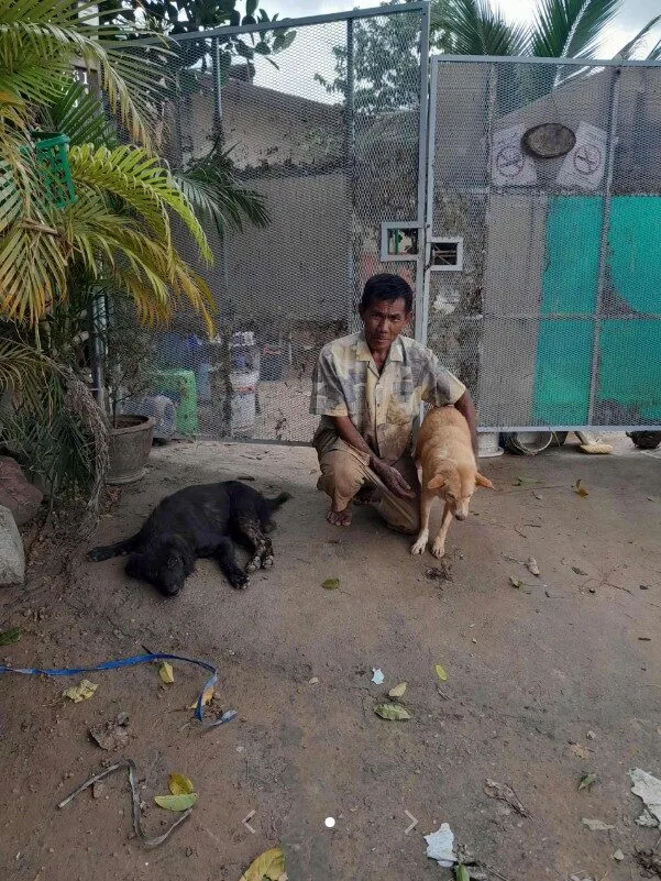 คุณลุงที่หนีน้ำท่วมร้องไห้เพราะต้องพรากจากหมารัก ล่าสุดพบเจ้าตูบหลังน้ำลดแล้ว!