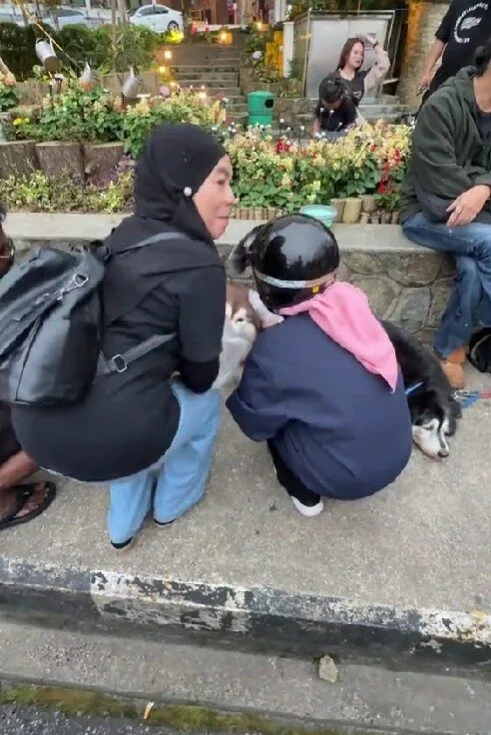 เจ้าของสุนัขในมาเลเซียเตรียม "ถุงมือพลาสติก" ให้ชาวมุสลิมที่อยากลูบหมา ทำชาวเน็ตเห็นแล้วใจฟูจนอดยิ้มตามไม่ได้