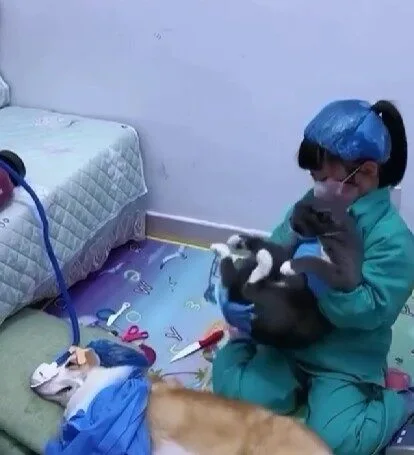 เด็กน้อยเล่นเป็นหมอมีคนไข้เป็นเจ้าตูบ การแสดงของเพื่อนสี่ขาสมจริงเกินต้าน จนคลิปกลายเป็นไวรัล!