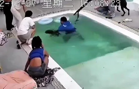 เจ้าหมาโดเบอร์แมนขี้อิจฉา! แกล้ง "ตกน้ำ" เอง หลังเห็นน้องหมาตัวเล็กได้ความสนใจจากเจ้าของ