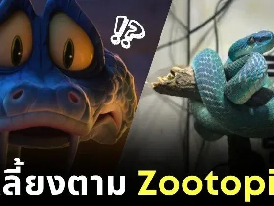 "Zootopia 2" ฟีเวอร์! วัยรุ่นจีนแห่ซื้อ "งูพิษสีฟ้า" มาเลี้ยงจริง หลังหลงเสน่ห์ "เจ้างูพิษแกรี่ (Gary De’Snake)"