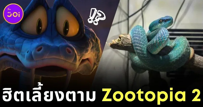 "Zootopia 2" ฟีเวอร์! วัยรุ่นจีนแห่ซื้อ "งูพิษสีฟ้า" มาเลี้ยงจริง หลังหลงเสน่ห์ "เจ้างูพิษแกรี่ (Gary De’Snake)"