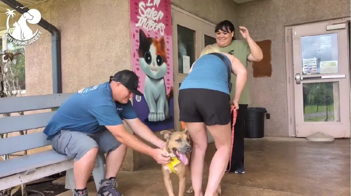 ศูนย์พักพิงสุนัขบน "เกาะคาไว" ในฮาวาย อนุญาตให้นักท่องเที่ยวพาหมาหาบ้านไปเที่ยวด้วยได้ 1 วัน