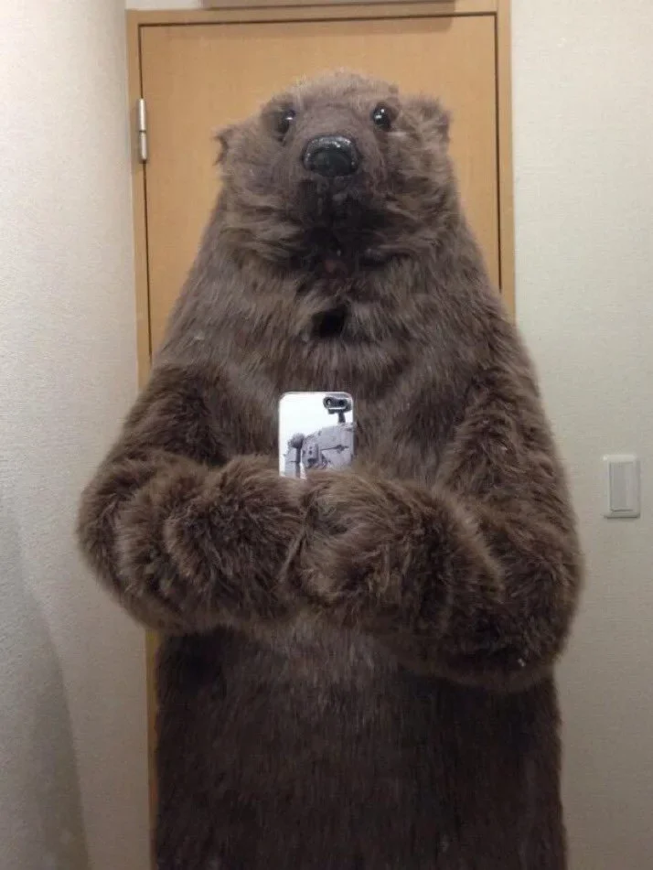 หนุ่มญี่ปุ่นเลิกแต่งคอสเพลย์เป็นหมี