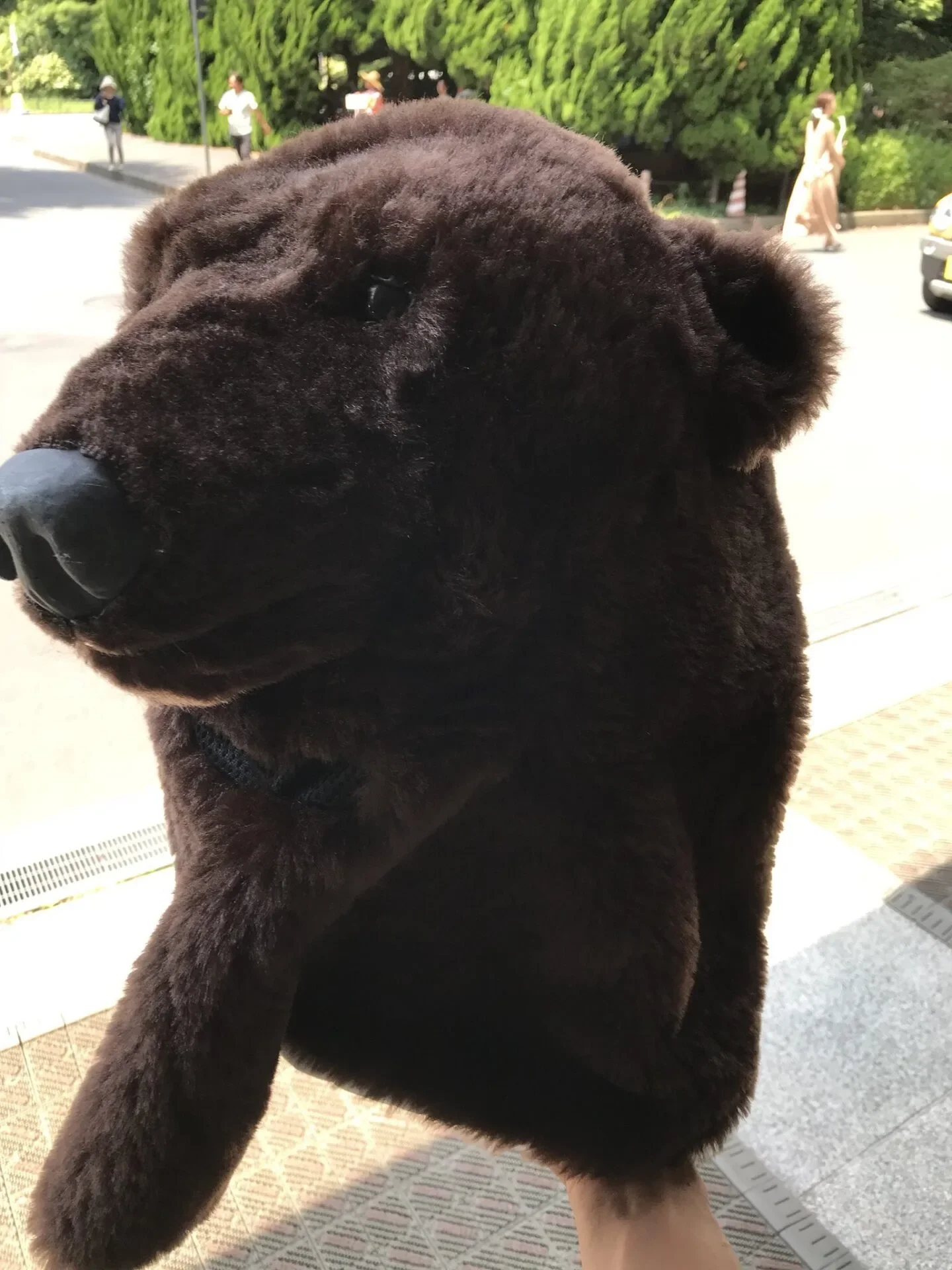 หนุ่มญี่ปุ่นเลิกแต่งคอสเพลย์เป็นหมี