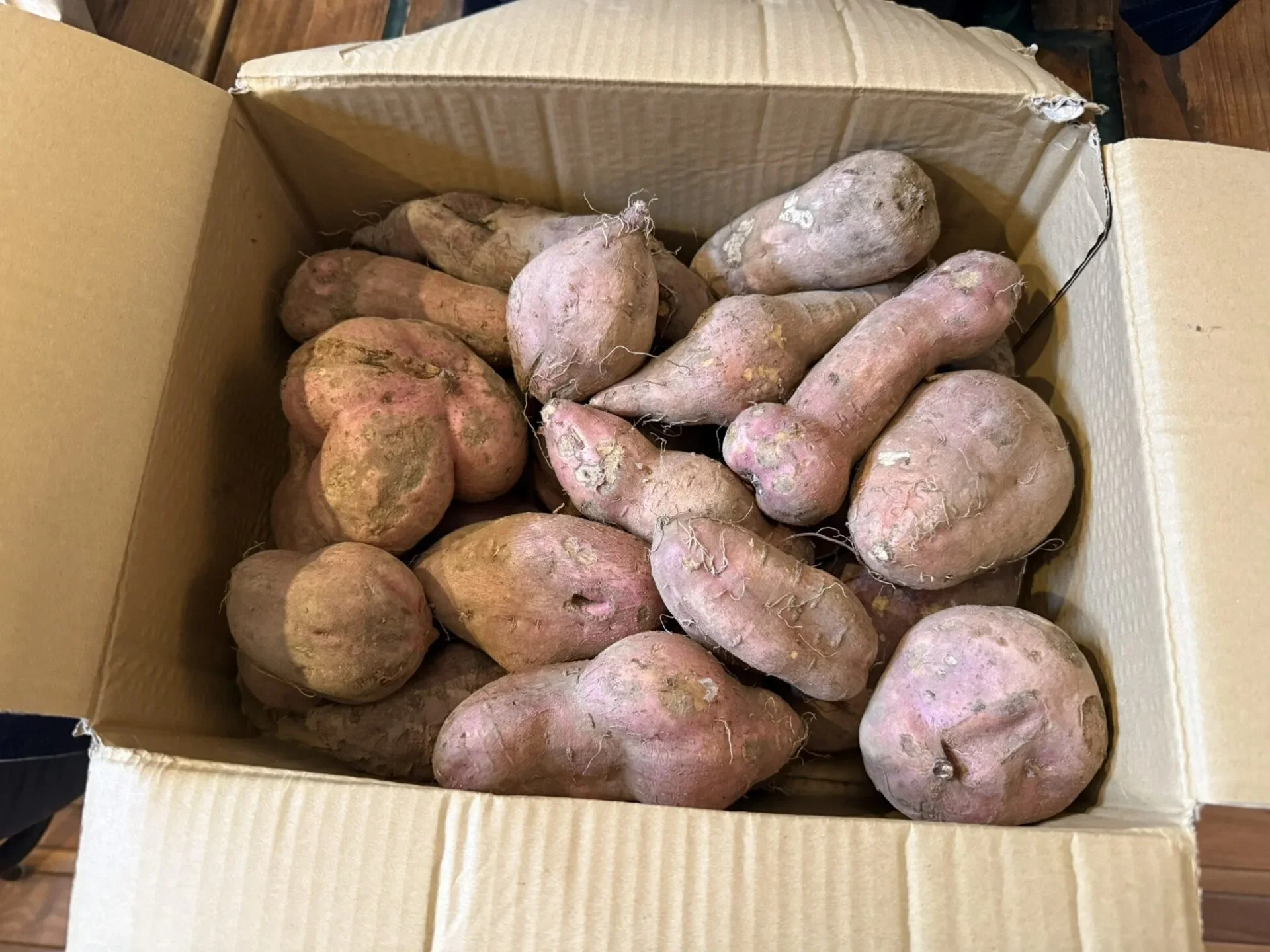 ภาพมันหวานญี่ปุ่นรูปทรงประหลาด