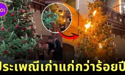 Switzerland Church Lights Up Candles on Christmas Tree