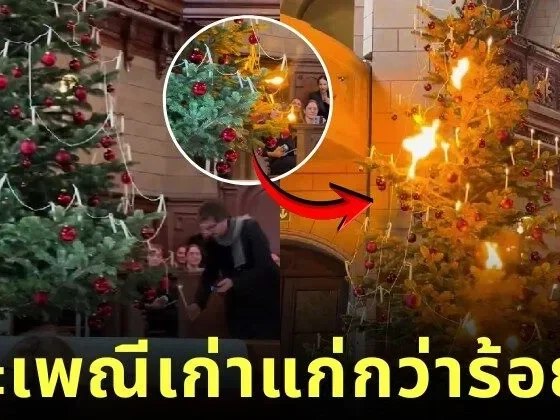 Switzerland Church Lights Up Candles on Christmas Tree