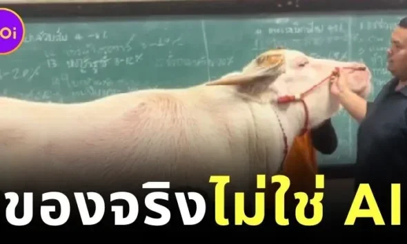 ทุ่มเทกว่านี้ไม่มีอีกแล้ว! อาจารย์มหาวิทยาลัยเกษตรและเทคโนโลยีอุดรธานีจูงควายเข้าชั้นเรียน เพื่อสอนนักศึกษาจากของจริง