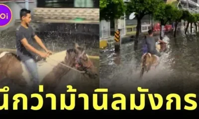 ชาวเน็ตถึงกับขยี้ตาแรง! หนุ่มขี่ม้าลุยน้ำท่วม จนนึกว่าเป็นสุทสาครกับม้านิลมังกร