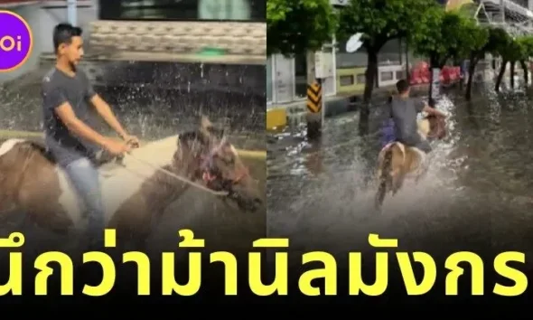 ชาวเน็ตถึงกับขยี้ตาแรง! หนุ่มขี่ม้าลุยน้ำท่วม จนนึกว่าเป็นสุทสาครกับม้านิลมังกร