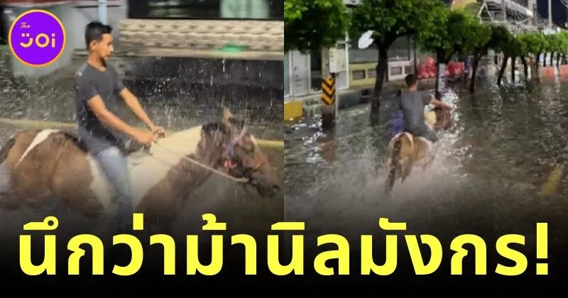 ชาวเน็ตถึงกับขยี้ตาแรง! หนุ่มขี่ม้าลุยน้ำท่วม จนนึกว่าเป็นสุทสาครกับม้านิลมังกร