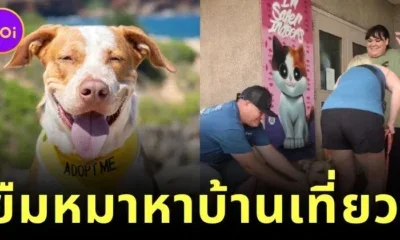 ศูนย์พักพิงสุนัขบน "เกาะคาไว" ในฮาวาย อนุญาตให้นักท่องเที่ยวพาหมาหาบ้านไปเที่ยวด้วยได้ 1 วัน