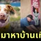 ศูนย์พักพิงสุนัขบน "เกาะคาไว" ในฮาวาย อนุญาตให้นักท่องเที่ยวพาหมาหาบ้านไปเที่ยวด้วยได้ 1 วัน
