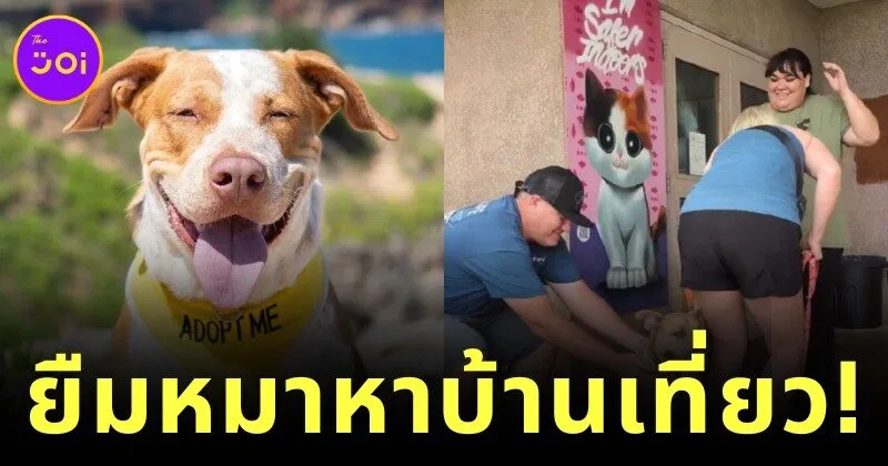 ศูนย์พักพิงสุนัขบน "เกาะคาไว" ในฮาวาย อนุญาตให้นักท่องเที่ยวพาหมาหาบ้านไปเที่ยวด้วยได้ 1 วัน