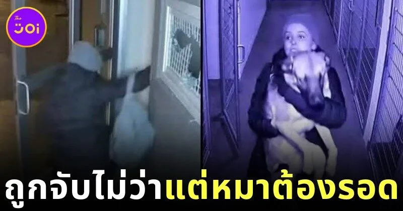 Woman Rescues Her Own Dog From Suicide