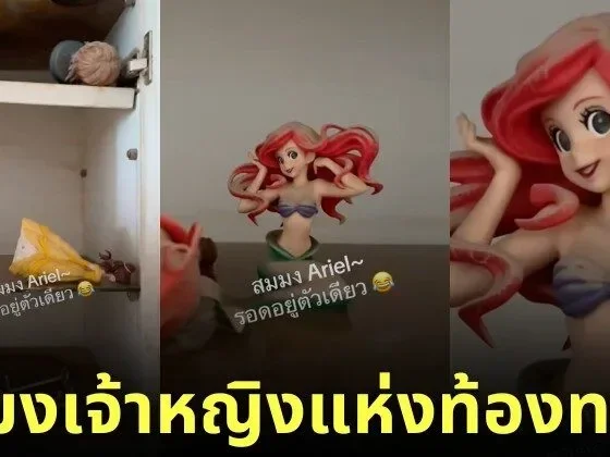 คลิปอาร์ตทอยแอเรียลหลังโดนน้ำท่วม TikTok