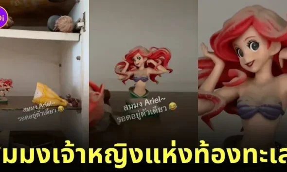 คลิปอาร์ตทอยแอเรียลหลังโดนน้ำท่วม TikTok
