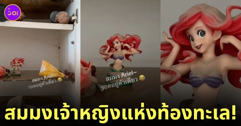 คลิปอาร์ตทอยแอเรียลหลังโดนน้ำท่วม TikTok