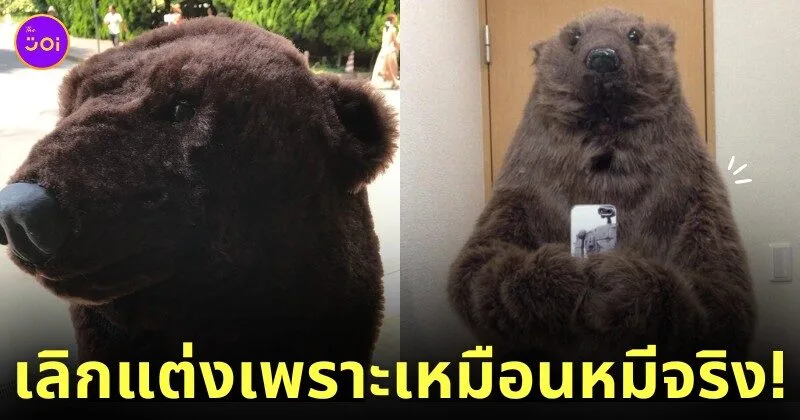 หนุ่มญี่ปุ่นเลิกแต่งคอสเพลย์เป็นหมี