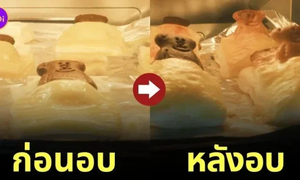 พายหมีหลับ พายหมีตื่น