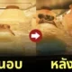 พายหมีหลับ พายหมีตื่น