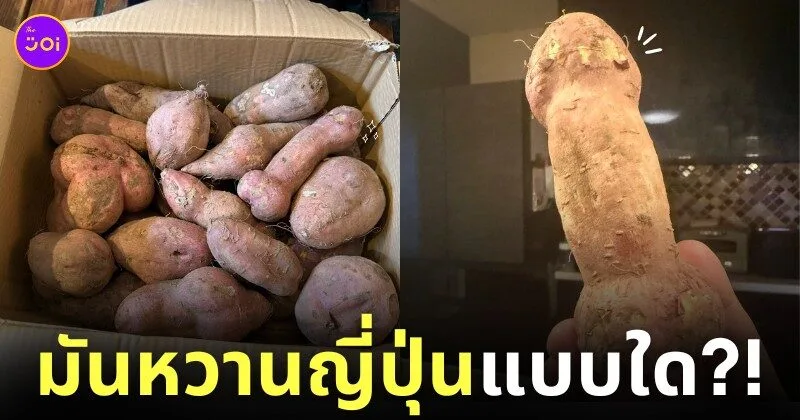 ภาพมันหวานญี่ปุ่นรูปทรงประหลาด