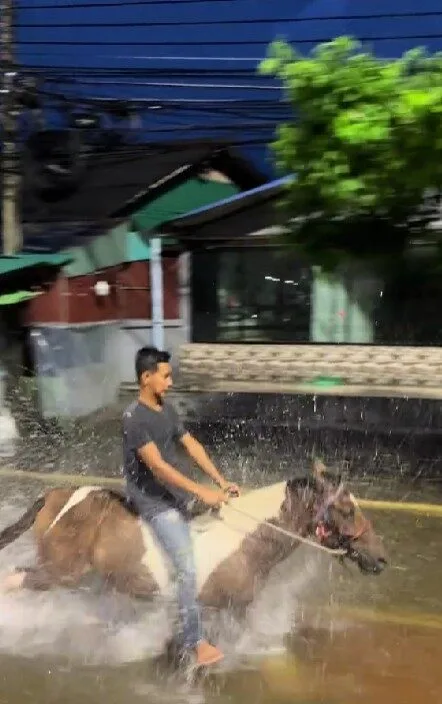 ชาวเน็ตถึงกับขยี้ตาแรง! หนุ่มขี่ม้าลุยน้ำท่วม จนนึกว่าเป็นสุทสาครกับม้านิลมังกร