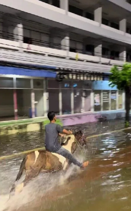 ชาวเน็ตถึงกับขยี้ตาแรง! หนุ่มขี่ม้าลุยน้ำท่วม จนนึกว่าเป็นสุทสาครกับม้านิลมังกร