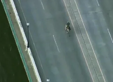 ตำรวจสหรัฐฯ ไล่จับวัวหลุดไม่สำเร็จ งานนี้เลยต้องพึ่งคาวบอยตัวจริง!