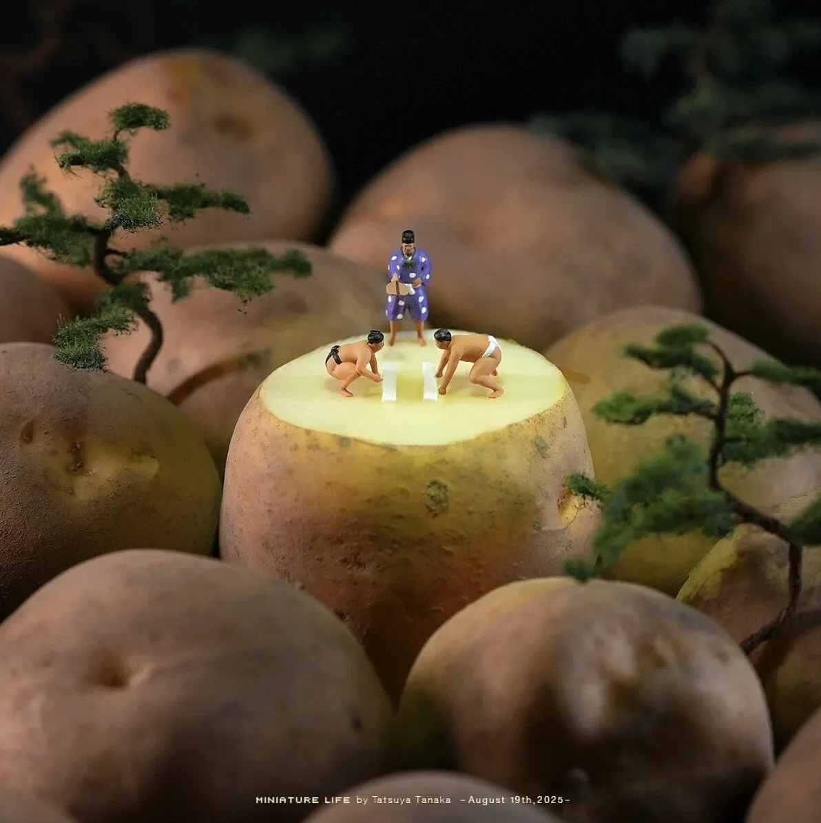 โมเดลโลกใบจิ๋ว โมเดลมนุษย์จิ๋ว โมเดลคนจิ๋ว Tatsuya Tanaka