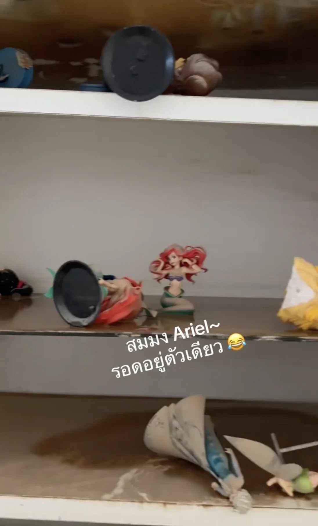 คลิปอาร์ตทอยแอเรียลหลังโดนน้ำท่วม TikTok