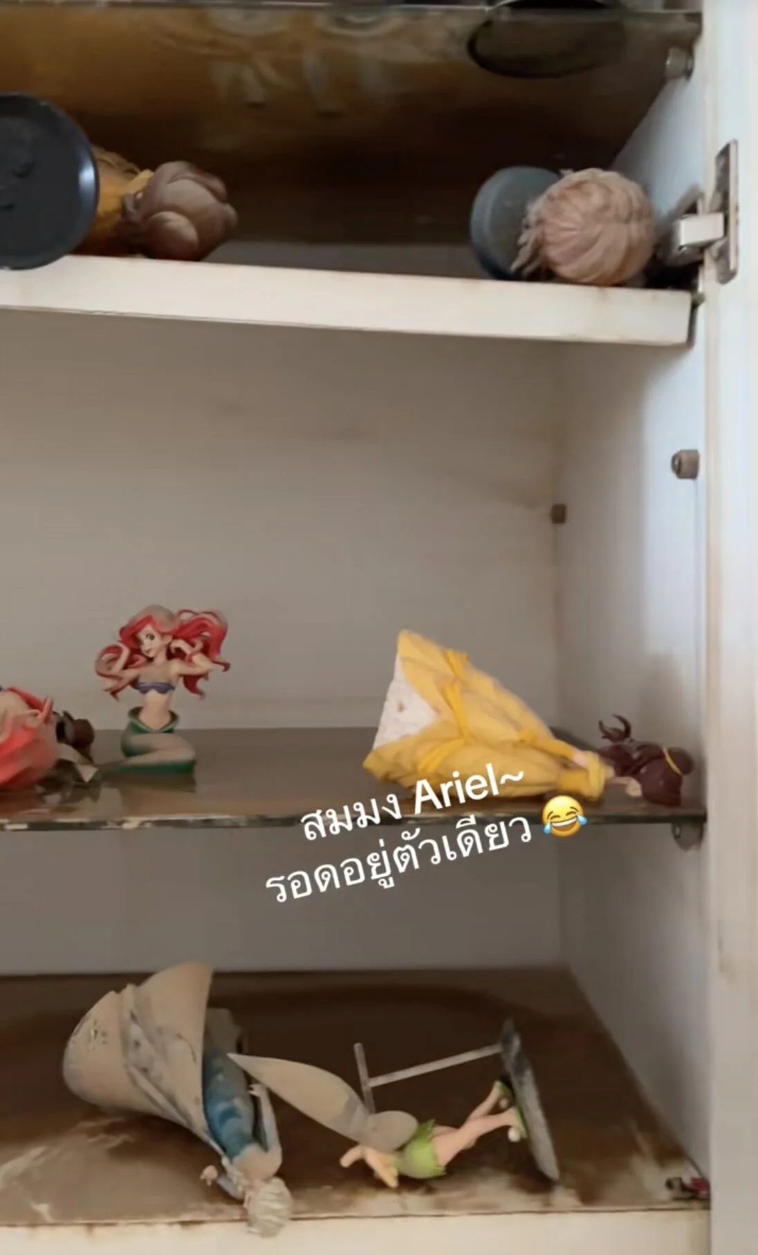 คลิปอาร์ตทอยแอเรียลหลังโดนน้ำท่วม TikTok