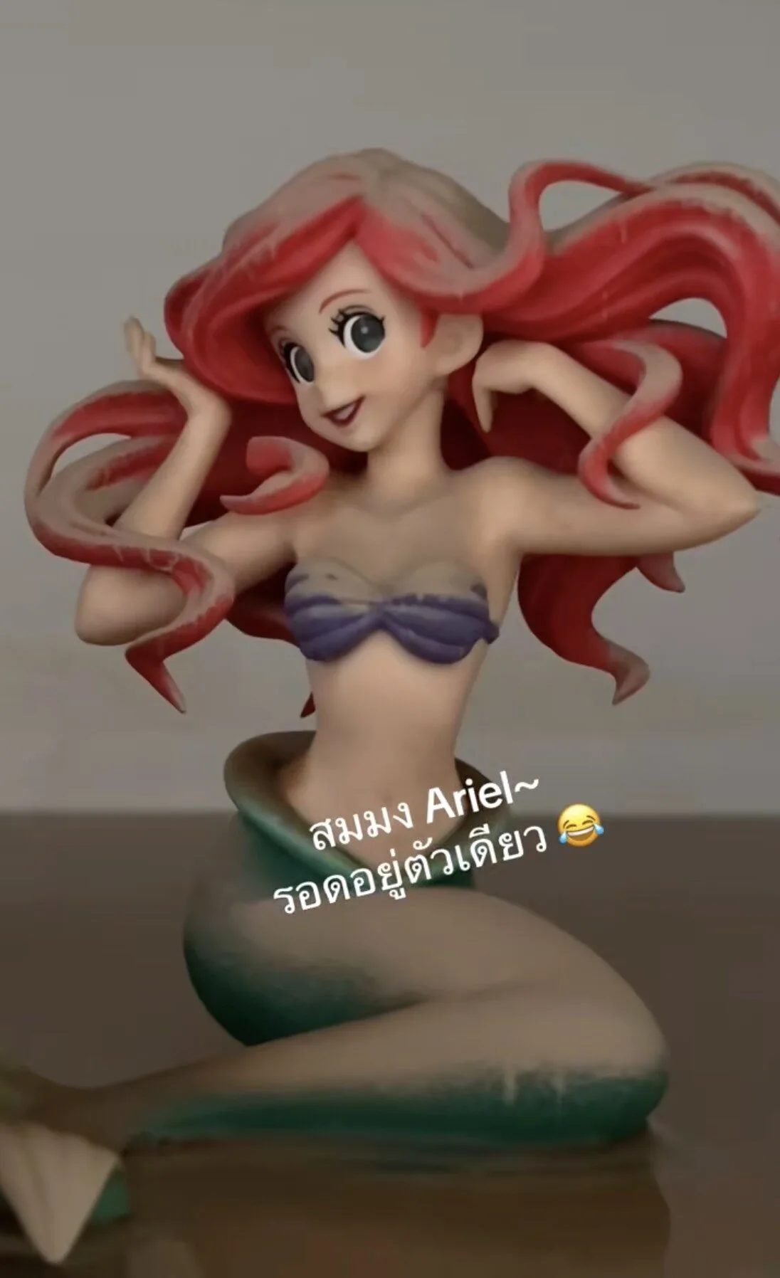 คลิปอาร์ตทอยแอเรียลหลังโดนน้ำท่วม TikTok