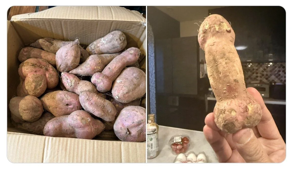 ภาพมันหวานญี่ปุ่นรูปทรงประหลาด