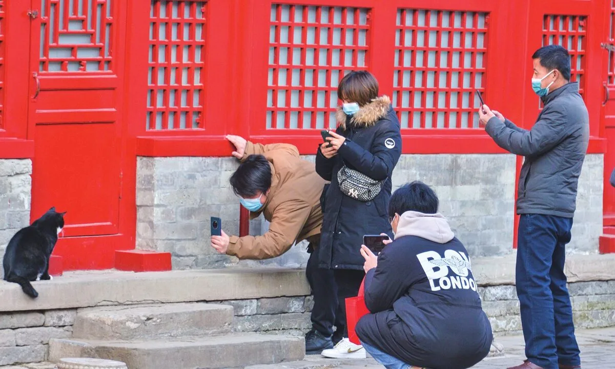 รู้จัก "ผ้าผ้า (Papa)" แมวส้มผู้โด่งดังแห่งพระราชวังต้องห้าม ผู้พิทักษ์เงียบงันใต้ชายคาทอง